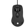Мышь EXEGATE PROFESSIONAL STANDARD B100 EX298195RUS